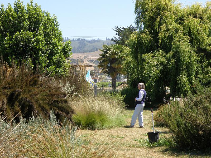 P6282154 Sierra Azul.jpg